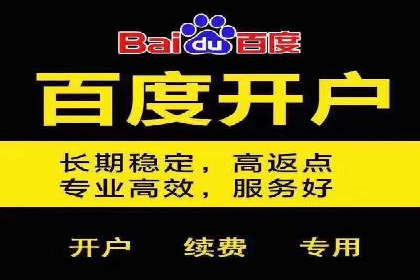 百度SEM优化案例：精准引流提升转化率